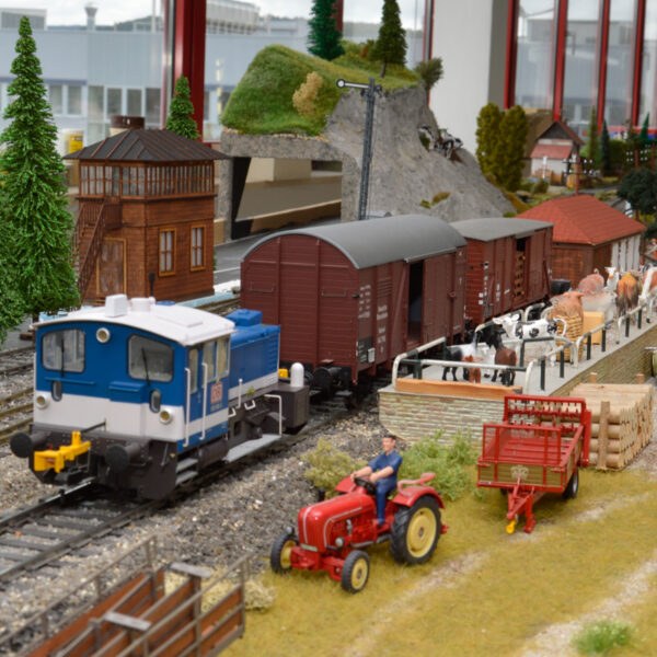 Viehverladung mit Rangierdiesel auf der Spur I Anlage