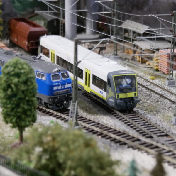 An der Hauptanlage wird derzeit fleißig, durch unser "junges" Team, umgebaut.